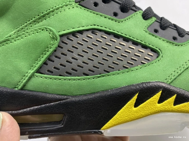 Rep Air Ducks 5 CK6631-307 Jordan SE Oregon 0814